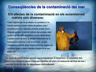 Cada vegada que es produeix un accident d 'un  Vaixell petroler moren milers de peixos, aus i  mamfers marins. Aquests animals poden morir  Ofegats perqu el petroli cobreix les plomes dels ocells o el pl dels mamfers i no els deixa flotar,  o poden morir de fred ,si perden l'a?llament de la temperatura externa, o b enverinats , ja que s'empassen petroli quan neden entre les aiges de la marea negra o quan intenten netejar-se el seu propi cos. Conseqncies de la contaminaci del mar Les capes de petroli de les marees negres impedeixen la fotosntesi i la respiraci dels  ssers vius. Tamb el petroli acaba per dipositar-se sobre els sediments del fons del mar i  mata tota forma de vida. Es descompon molt lentament. Els efectes de la contaminaci en els ecosistemes marins sn diversos: 