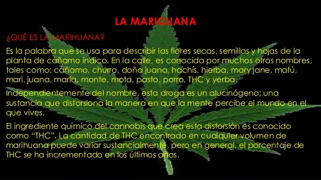 La mariguana