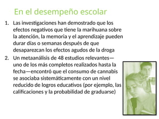 En el desempeño escolar
1. Las investigaciones han demostrado que los
efectos negativos que tiene la marihuana sobre
la atención, la memoria y el aprendizaje pueden
durar días o semanas después de que
desaparezcan los efectos agudos de la droga
2. Un metaanálisis de 48 estudios relevantes—
uno de los más completos realizados hasta la
fecha—encontró que el consumo de cannabis
se asociaba sistemáticamente con un nivel
reducido de logros educativos (por ejemplo, las
calificaciones y la probabilidad de graduarse)
 