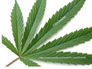 conclusión
http://www.youtube.com/watch?v=AGb2ZK6Debc
 