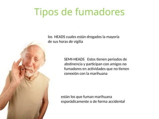 Tipos de fumadores
los HEADS cuales están drogados la mayoría
de sus horas de vigilia
SEMI-HEADS Estos tienen periodos de
abstinencia y participan con amigos no
fumadores en actividades que no tienen
conexión con la marihuana
están los que fuman marihuana
esporádicamente o de forma accidental
 