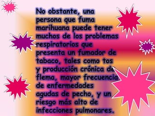 No obstante, una
persona que fuma
marihuana puede tener
muchos de los problemas
respiratorios que
presenta un fumador de
tabaco, tales como tos
y producción crónica de
flema, mayor frecuencia
de enfermedades
agudas de pecho, y un
riesgo más alto de
infecciones pulmonares.
 