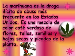 La marihuana es la droga
ilícita de abuso más
frecuente en los Estados
Unidos. Es una mezcla de
color café verdoso de
flores, tallos, semillas y
hojas secas y picadas de la
planta.
 