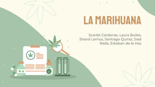 LAMARIHUANA
Scarlet Cardenas, Laura Builes,
Sharol Lemus, Santiago Quiroz, Siad
Rada, Esteban de la Hoz
 