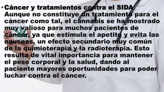 •Cáncer y tratamientos contra el SIDA
Aunque no constituye un tratamiento para el
cáncer como tal, el cannabis se ha mostrado
muy valioso para muchos pacientes de
cáncer, ya que estimula el apetito y evita las
nauseas, un efecto secundario muy común
de la quimioterapia y la radioterapia. Esto
resulta de vital importancia para mantener
el peso corporal y la salud, dando al
paciente mayores oportunidades para poder
luchar contra el cáncer.
 