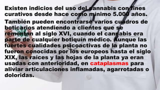 Existen indicios del uso del cannabis con fines
curativos desde hace como mínimo 5.000 años.
También pueden encontrarse varios cuadros de
boticarios atendiendo a clientes que se
remontan al siglo XVI, cuando el cannabis era
parte de cualquier botiquín médico. Aunque las
fuertes cualidades psicoactivas de la planta no
fueron conocidas por los europeos hasta el siglo
XIX, las raíces y las hojas de la planta ya eran
usadas con anterioridad, en cataplasmas para
aliviar articulaciones inflamadas, agarrotadas o
doloridas.
 