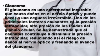 •Glaucoma
El glaucoma es una enfermedad incurable
que causa daños en el nervio óptico y puede
llevar a una ceguera irreversible. Uno de los
principales factores causantes es la presión
intraocular, alta presión de los fluidos del
glóbulo ocular. Se ha demostrado que el
cannabis contribuye a disminuir la presión
intraocular, reduciendo así el riesgo de
daños al nervio óptico y frenando el avance
del glaucoma.
 