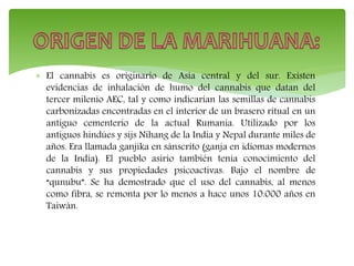  El cannabis es originario de Asia central y del sur. Existen
evidencias de inhalación de humo del cannabis que datan del
tercer milenio AEC, tal y como indicarían las semillas de cannabis
carbonizadas encontradas en el interior de un brasero ritual en un
antiguo cementerio de la actual Rumania. Utilizado por los
antiguos hindúes y sijs Nihang de la India y Nepal durante miles de
años. Era llamada ganjika en sánscrito (ganja en idiomas modernos
de la India). El pueblo asirio también tenía conocimiento del
cannabis y sus propiedades psicoactivas. Bajo el nombre de
“qunubu”. Se ha demostrado que el uso del cannabis, al menos
como fibra, se remonta por lo menos a hace unos 10.000 años en
Taiwán.
 