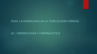 TEMA: LA MARIHUANA EN LA TOXICOLOGÍA FORENSE
LIC.: CRIMINOLOGÍA Y CRIMINALÍSTICA
 