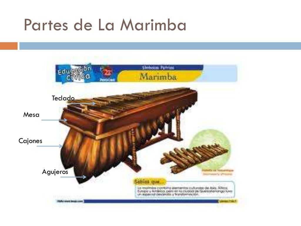 La marimba instrumentos nacional de guatemala