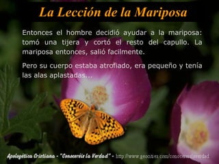 La Lección de la Mariposa Entonces el hombre decidió ayudar a la mariposa: tomó una tijera y cortó el resto del capullo. La mariposa entonces, salió facilmente. Pero su cuerpo estaba atrofiado, era pequeño y tenía las alas aplastadas... 