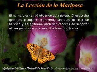 La Lección de la Mariposa El hombre continuó observándola porque él esperaba que, en cualquier momento, las alas de ella se abrirían y se agitarían para ser capaces de soportar el cuerpo, el que a su vez, iría tomando forma... 
