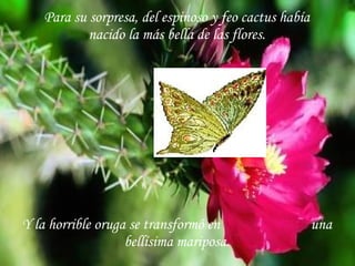 Para su sorpresa, del espinoso y feo cactus había nacido la más bella de las flores. Y la horrible oruga se transformó en  una bellísima mariposa. 