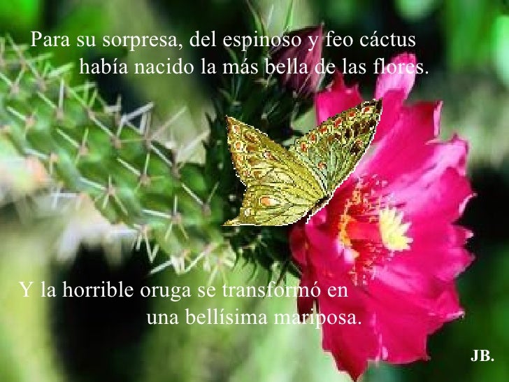 La Mariposa y la Flor