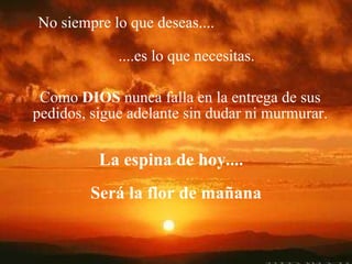 No siempre lo que deseas....   ....es lo que necesitas. Como  DIOS  nunca falla en la entrega de sus pedidos, sigue adelante sin dudar ni murmurar. La espina de hoy.... Será la flor de mañana 