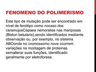 FENOMENO DO POLIMERISMO
Este tipo de mutação pode ser encontrado em
nível de fenótipo como nocaso dos
caramujosCepaea nemoralise nas mariposas
(Biston betularia),sendo identificados mediante
observação ou, por exemplo, no sistema
ABOonde no cromossomo nove ocorrem
variações na montagem de proteínas
semalterar suas funções, identificado
geralmente por eletroforese.

 