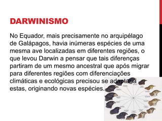 DARWINISMO
No Equador, mais precisamente no arquipélago
de Galápagos, havia inúmeras espécies de uma
mesma ave localizadas em diferentes regiões, o
que levou Darwin a pensar que tais diferenças
partiram de um mesmo ancestral que após migrar
para diferentes regiões com diferenciações
climáticas e ecológicas precisou se adaptar a
estas, originando novas espécies.

 