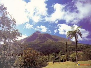 La montagne Pelée
 