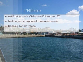  A été découverte: Christophe Colomb en 1502
 Les français ont organisé la première colonie
 Capitale: Fort-de-France
 