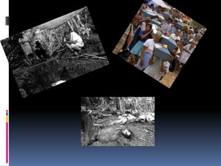 La masacre del mozote