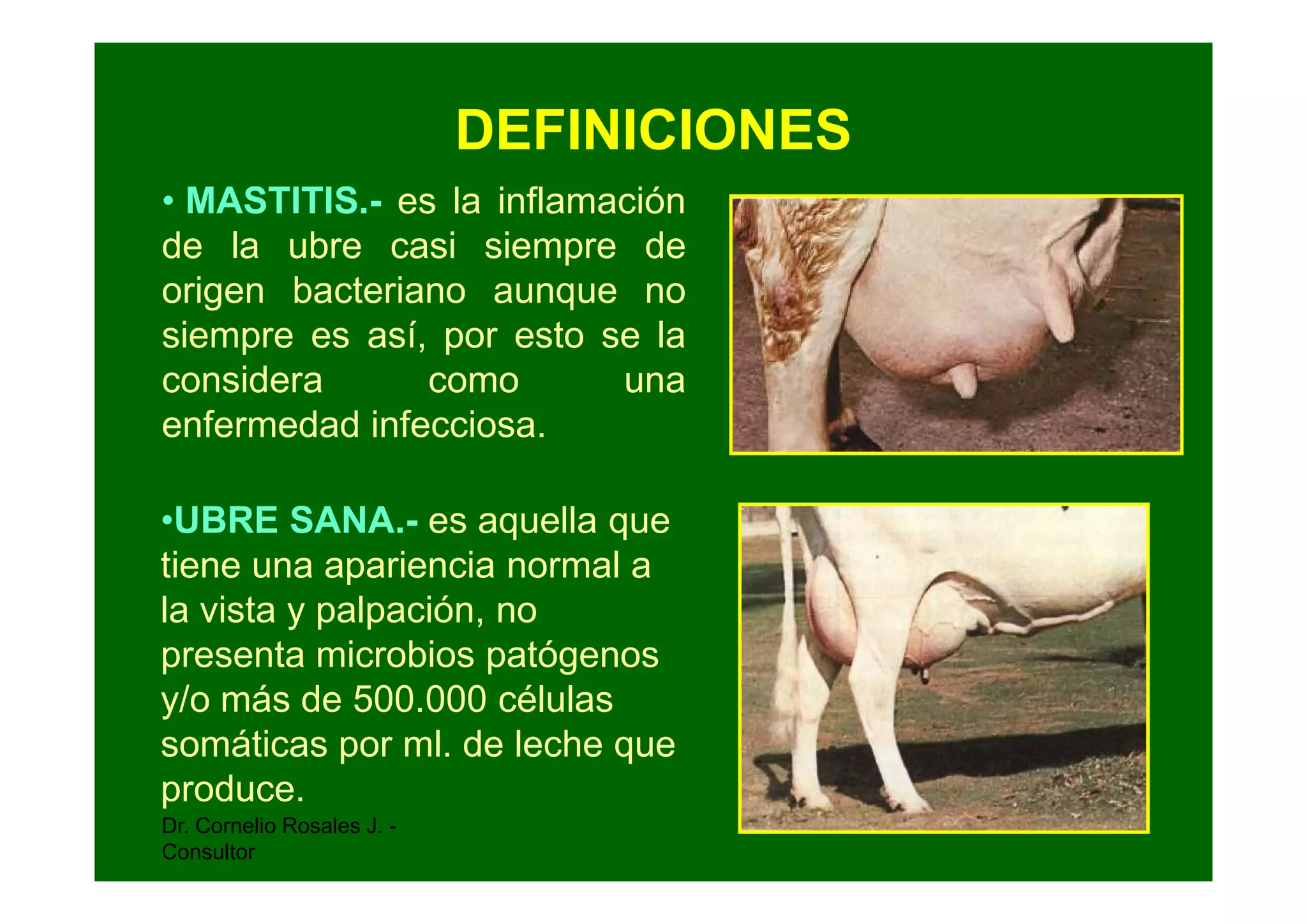 La mastitis [modo de compatibilidad] | PPT