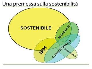 Una premessa sulla sostenibilità,?
anche da se stessa.
 