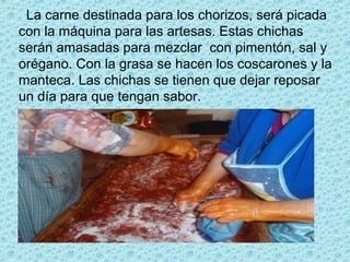 La carne destinada para los chorizos, será picada
con la máquina para las artesas. Estas chichas
serán amasadas para mezclar con pimentón, sal y
orégano. Con la grasa se hacen los coscarones y la
manteca. Las chichas se tienen que dejar reposar
un día para que tengan sabor.
 