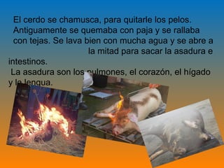 El cerdo se chamusca, para quitarle los pelos.
  Antiguamente se quemaba con paja y se rallaba
  con tejas. Se lava bien con mucha agua y se abre a
                      la mitad para sacar la asadura e
intestinos.
 La asadura son los pulmones, el corazón, el hígado
y la lengua.
 