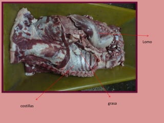 Lomo

costillas

grasa

 