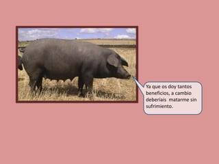 Ya que os doy tantos
beneficios, a cambio
deberíais matarme sin
sufrimiento.

 