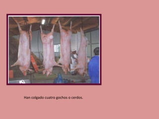 Han colgado cuatro gochos o cerdos.

 