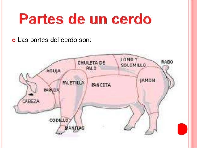 Resultado de imagen para partes del ganado porcino