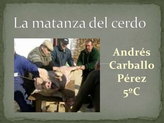 Andrés
Carballo
Pérez
5ºC

 