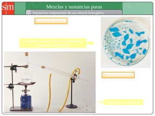 Mezclas y sustancias puras
3 Separar los componentes de una mezcla homogénea
CRISTALIZACIÓN
Sirve para separar sólidos disueltos en un líquido. Se basa en las
diferentes temperaturas de evaporación del sólido y del líquido.
DESTILACIÓN
Se utiliza para separar líquidos
disueltos y se basa en la diferencia
de temperaturas de ebullición de que
cada componente.
Cristales de sulfato de cobre obtenidos
mediante cristalización
Alambique o destilador
 