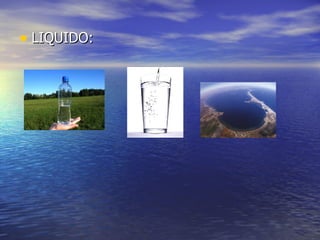 • LIQUIDO:
 