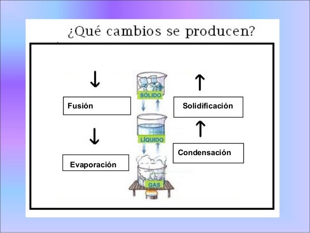 La materia y sus transformaciones