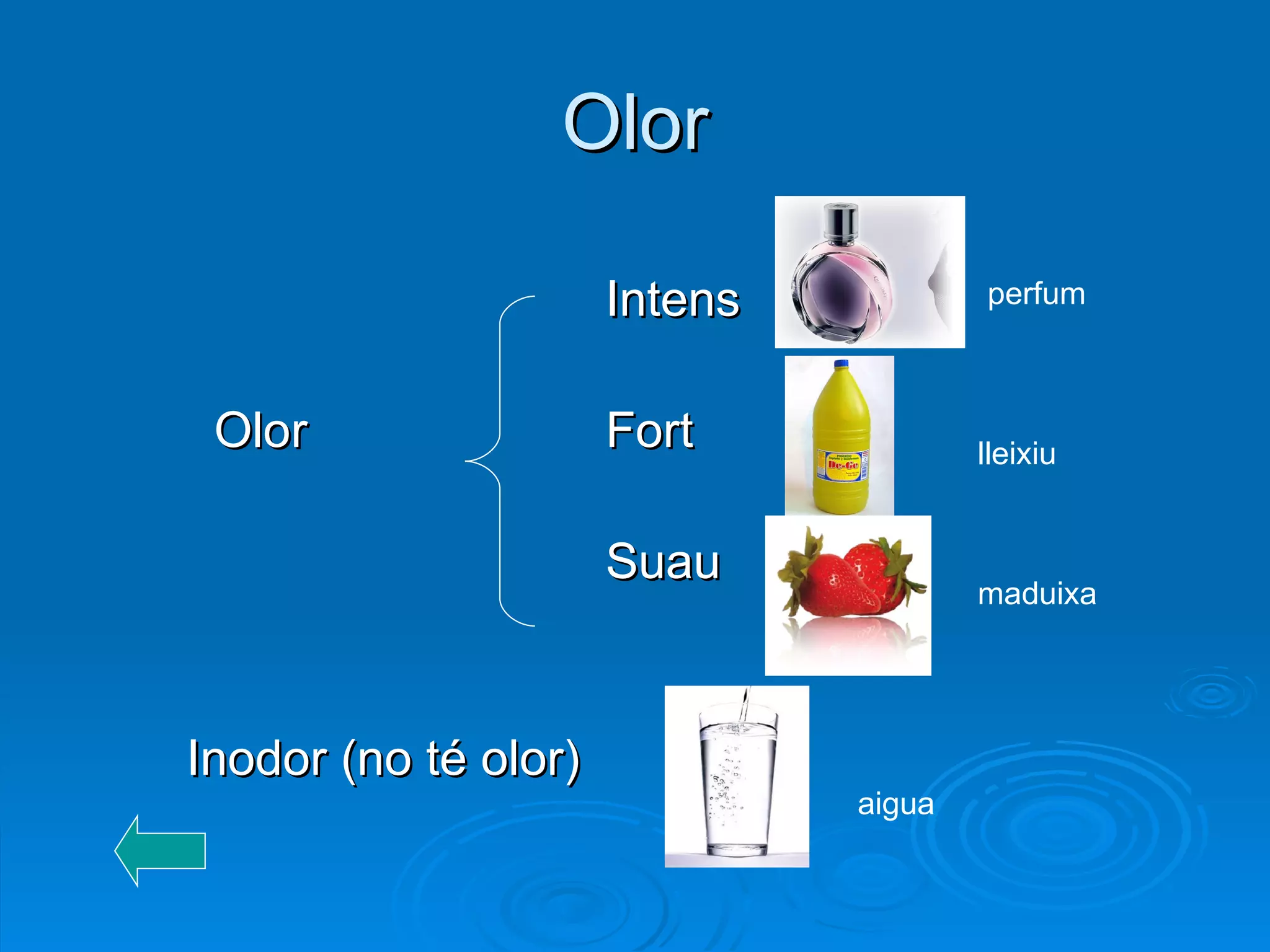 Intens   Olor Fort Suau   Inodor (no té olor) Olor perfum lleixiu maduixa aigua 