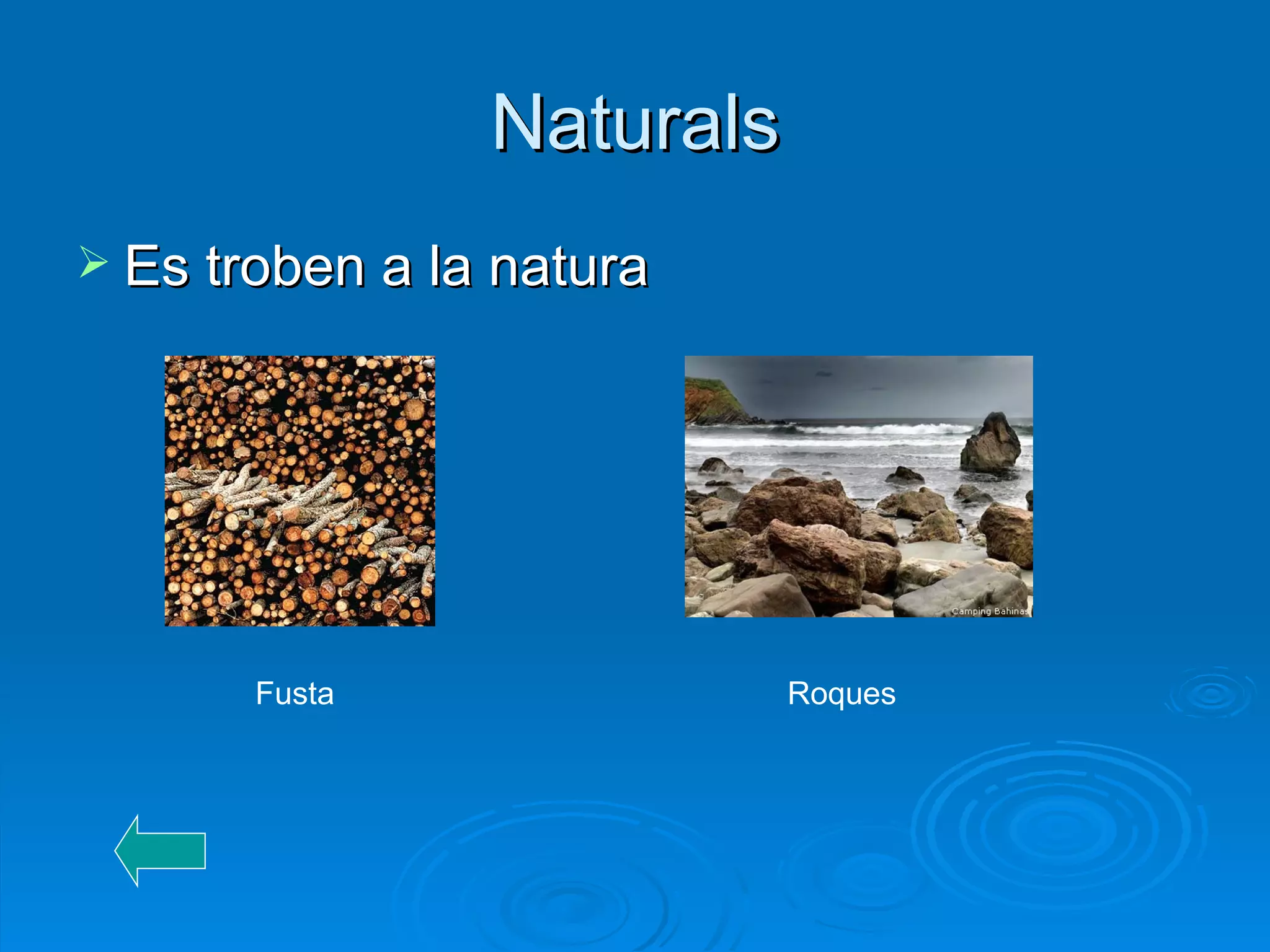 Naturals Es troben a la natura Fusta Roques 