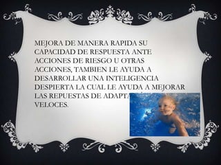 MEJORA DE MANERA RAPIDA SU CAPACIDAD DE RESPUESTA ANTE ACCIONES DE RIESGO U OTRAS ACCIONES, TAMBIEN LE AYUDA A DESARROLLAR UNA INTELIGENCIA DESPIERTA LA CUAL LE AYUDA A MEJORAR LAS REPUESTAS DE ADAPTACIÒN Y VELOCES.
