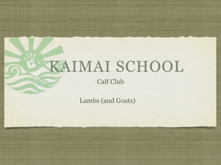 KAIMAI SCHOOL
       Calf Club

  Lambs (and Goats)
 