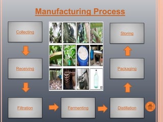 Fermenting
Collecting
Receiving Packaging
DistillationFiltration
Storing
Manufacturing Process
 