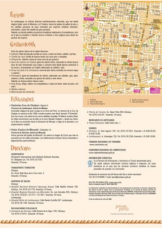 En Lambayeque se cultivan diversas manifestaciones culturales, que van desde
alegres bailes como la Marinera y el Tondero, hasta las peleas de gallos de pico y
los caballos peruanos de paso montados por expertos chalanes (domador,
entrenador y jinete del caballo de paso peruano).
Además, en muchos pueblos se practica la medicina tradicional o el curanderismo, acto
en el que el curandero o chamán recurre a hierbas y ritos mágicos para aliviar los
pesares de la gente.




Entre los platos típicos de la región destacan:
Cebiche: filete de pescado cortado en trozos, cocido con limón, cebolla y ají limo.
Tortilla de raya: tortilla de huevos hecha con raya seca y remojada.
Chinguirito: cebiche a base de carne seca de pez guitarra.
Seco de cabrito con frijoles: guiso de cabrito tierno, macerado en chicha de jora
(licor de maíz fermentado cuyo origen y consumo data desde épocas anteriores a
los incas) y acompañado con frijoles aderezados en cebolla y ajos.
Arroz con pato a la chiclayana: carne de pato tierno cocinada con cerveza negra
y culantro.
Chirimpico: guiso de menudencia de cabrito, aderezado con cebollas, ajos, ajíes,
culantro y loche, mezclado con granos de choclo o maíz tierno.
Además se ofrecen dulces típicos como:
King-Kong: alfajor relleno con manjarblanco o dulce de leche, dulce de piña y de
maní.
Dátiles rellenos.
Machacado de membrillo.


                                                                                             1 Catedral                                                       4 Basílica de San Antonio
                                                                                             2 Palacio Municipal                                              5 Mercado Modelo
                                                                                             3 Plazuela Elías Aguirre
Santísima Cruz de Chalpón / Agosto 5
Provincia de Lambayeque, distrito de Motupe.
Festividad religiosa de gran arraigo en el norte del Perú. La historia de la Cruz de          Policía de Turismo. Av. Sáenz Peña 830, Chiclayo.
Chalpón se remonta al año 1866, cuando el padre Juan Abad, llamado "El Ermitaño"              Tel: (074) 23-5181 Atención: 24 horas.
hizo tres cruces y las colocó en los cerros aledaños al pueblo. Al fallecer el padre Abad,
los fieles encontraron una de ellas en el cerro llamado Chalpón y, desde esa fecha,           MERCADOS DE ARTESANÍA
se le lleva en procesión hasta el Santuario de Motupe y luego se la devuelve a su             Paseo Artesanal. Calle Colón cdra. 1.
emplazamiento original.
                                                                                              CORREO
Señor Cautivo de Monsefú / Setiembre 14                                                       Chiclayo. Jr. Elías Aguirre 140. Tel: (074) 23-7031. Atención: L-S 8:00-20:30;
Provincia de Chiclayo, distrito de Monsefú.
                                                                                              D 8:00-14:00.
Fiesta patronal del pueblo de Monsefú. Se venera la imagen de Cristo que sale en              Lambayeque. Jr. Atahualpa 120. Tel: (074) 28-2246. Atención: L-S 8:00-16:00.
procesión por las calles principales. Las celebraciones incluyen ferias artesanales y
degustaciones gastronómicas.                                                                  CÁMARA NACIONAL DE TURISMO
                                                                                               www.canaturperu.org

                                                                                              GOBIERNO REGIONAL DE LAMBAYEQUE
                                                                                              www.regionlambayeque.gob.pe
AEROPUERTO
Aeropuerto Internacional José Abelardo Quiñones Gonzales.                                     INFOMACIÓN TURÍSTICA
Av. Bolognesi s/n. Tel: (074) 23-3192.                                                               En el Servicio de Información y Asistencia al Turista denominado iperú,
Atención: 24 horas.                                                                                  Ud. podrá solicitar información turística objetiva e imparcial, así como
                                                                                                     asistencia en el caso que los servicios turísticos recibidos no fuesen
TRANSPORTE TERRESTRE
                                                                                                     prestados de acuerdo a lo contratado.
Chiclayo
Av. Víctor Raúl Haya de la Torre cdra. 2.                                                     Contacte el servicio las 24 horas del día a nivel nacional:
Atención: 24 horas.                                                                           Tel: (01) 574-8000 E-mail: iperu@promperu.gob.pe
CENTROS DE SALUD
                                                                                              MAYOR INFORMACIÓN: www.peru.info
Chiclayo                                                                                      Hecho el Depósito Legal Nº 150131 2004-5419.
Hospital Nacional Almanzor Aguinaga Asenjo. Calle Hipólito Unanue 180,                        La información contenida en este documento es una enumeración de atractivos y servicios a disposición
Chiclayo. Tel: (074) 23-7776. Atención: 24 horas.                                             del viajero en toda la región. Para su actualización, PromPerú se ha servido de fuentes oficiales de
Hospital Regional Docente Las Mercedes. Av. Luis Gonzales 635, Chiclayo.                      información como: Instituto Nacional de Recursos Naturales (INRENA), Instituto Nacional de Cultura (INC),
                                                                                              Instituto Geográfico Nacional (IGN), Servicio Nacional de Meteorología e Hidrología del Perú (SENAMHI)
Tel: (074) 23-8232 / 23-7411 / 23-7021. Atención: 24 horas.                                   y la Dirección Regional de Comercio Exterior y Turismo.
Lambayeque
                                                                                              Fecha de publicación: julio del 2005.
Hospital Belén de Lambayeque. Calle Ramón Castilla 597, Lambayeque.
Tel: (074) 28-1190. Atención: 24 horas.

DELEGACIONES POLICIALES
Comisaría de Chiclayo. Calle Vicente de la Vega 1182, Chiclayo.
Tel: (074) 27-0751. Atención: 24 horas.                                                                                          Comisión de Promoción del Perú
 