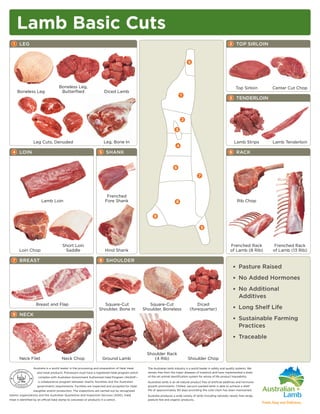 Lamb Cut Chart Spanish En PDF