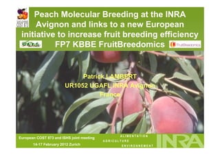 Peach Molecular Breeding at the INRA
      Avignon and links to a new European
 initiative to increase fruit breeding efficiency
           FP7 KBBE FruitBreedomics


                             Patrick LAMBERT
                        UR1052 UGAFL INRA Avignon
                                   France




                                                   ALIMENTATION
European COST 873- and ISHS joint meeting
    Séminaire SNP
                                            AGRICULTURE
    UGAFL - 19 janvier 2012 Zurich
       14-17 February                              ENVIRONNEMENT
    2012
 