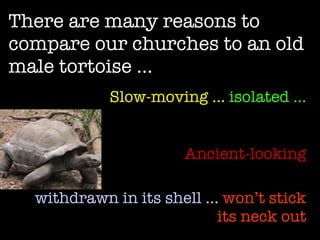 There are many reasons to compare our churches to an old male tortoise … Slow-moving …  isolated … Ancient-looking withdrawn in its shell …   won’t stick its neck out 