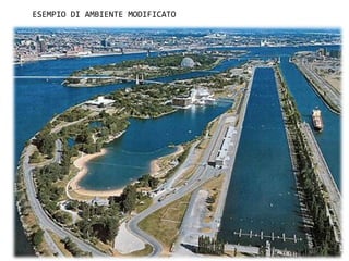 ESEMPIO DI AMBIENTE MODIFICATO
 