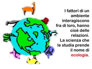 I fattori di un
ambiente
interagiscono
fra di loro, hanno
cioè delle
relazioni.
La scienza che
le studia prende
il nome di
ecologia.
 