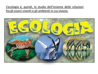 L’ecologia è, quindi, lo studio dell’insieme delle relazioni
fra gli esseri viventi e gli ambienti in cui vivono.
 
