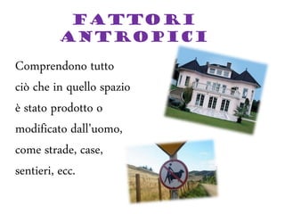 FATTORI
ANTROPICI
Comprendono tutto
ciò che in quello spazio
è stato prodotto o
modificato dall’uomo,
come strade, case,
sentieri, ecc.
 