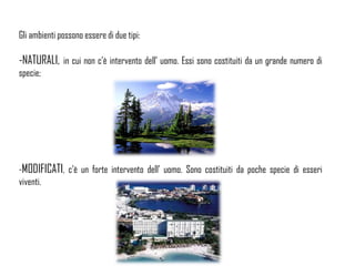 Gli ambienti possono essere di due tipi:
-NATURALI, in cui non c’è intervento dell’ uomo. Essi sono costituiti da un grande numero di
specie;
-MODIFICATI, c’è un forte intervento dell’ uomo. Sono costituiti da poche specie di esseri
viventi.
 